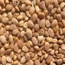 เครื่องสเปกโตรโฟโตมิเตอร์อิเล็กทรอนิกส์ความแม่นยำสูง รับประกัน 1 ปี เครื่องวัดสีสำหรับการควบคุมคุณภาพและการวิเคราะห์สีอย่างแม่นยำ - Product Image 5