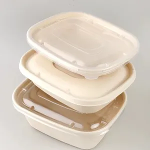 1100Ml Biologisch Afbreekbare Lunchbox Van Suikerrietpapier Voor Warm En Koud Eten