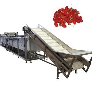 Tomatenketchup Productie Geconcentreerde Pasta Maken Machines Verwerking Fabriek Productielijn