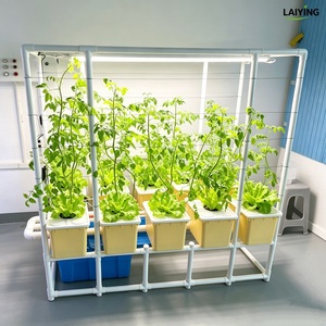 Soilless Dutch Bucket System for Eggplant Black <strong>Hydroponic</strong> Bucket 1 Set for <strong>Peppers</strong> With Top Drip Kit Drainage - Product Image 4
