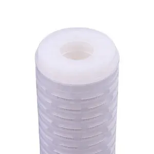 Hydrophobic PTFE Membrane Pleated 0.1um 0.22um 0.45um 0.65um 1.2um Air Filter Cartridge