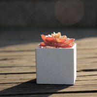Jardinière carrée en béton noir et blanc avec trou de drainage, pot respirant en ciment pour plantes succulentes de bureau, couleur et logo personnalisables