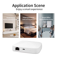 Tuya Zigbee Smart Home Iot Gateway Hub Commutateurs de télécommande Fonctionne avec Alexa Google Home Connecte les appareils Zigbee via Smart Life