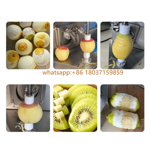 Peladora automática <span class=keywords><strong>de</strong></span> limón, manzana, <span class=keywords><strong>naranja</strong></span>, peladora comercial, precio profesional - Product Image 6