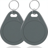 Clé RFID ISO15693, puce NFC, étanche, résistante aux hautes températures, porte-clés pour contrôle d'accès