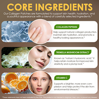 Acentiallabs Patchs transdermiques au collagène soluble Couche supérieure biodégradables Patchs au collagène pour la fermeté et l'élasticité de la peau