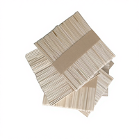 Bâtonnets de crème glacée en bois de bouleau personnalisés, flexibles, jetables et écologiques, vente en gros