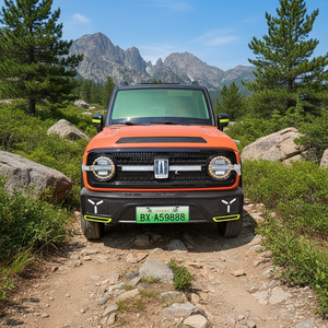 Nouvelles voitures électriques 4 roues, style innovant, 2000W, faible vitesse, forte capacité de montée, pour le tourisme en zone touristique - Product Image 5