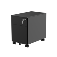 Classeur vertical en métal à 2 tiroirs OEM Classeur à tiroirs en acier de style moderne pour le stockage à domicile et au bureau