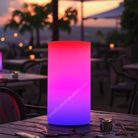 Lampe de table LED cylindrique moderne en plastique sans fil, à piles, avec télécommande, logo personnalisé imprimé, pour la décoration