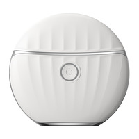 Appareil de beauté ABS transfrontalier pour usage domestique, masseur facial liftant et raffermissant le cou, chauffant EMS, Gua Sha, étanche, rechargeable par USB