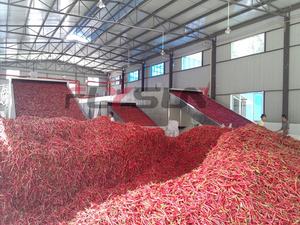 Machine de séchage à bande maillée à hawthorn, contrôlée par PLC automatique, personnalisée en usine, pour la déshydratation des fruits avec convoyeur à engrenages - Product Image 5