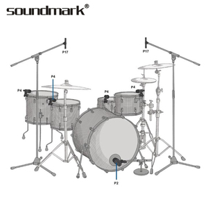 Chuyên nghiệp <span class=keywords><strong>thomann</strong></span> cụ Microphone Sans Fil violon với giấy chứng nhận CE - Product Image 2