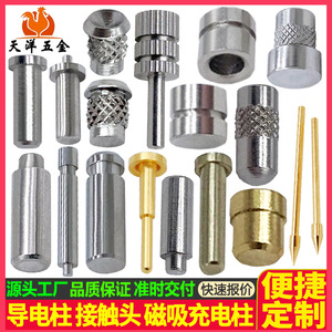 Conductive Posts Pins Magnetic Charging Contacts High Precision 20mm Max Diameter Customizable For Electrical Applications - Product Image 2