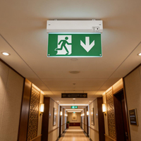 Signal de sortie LED Running Man, éclairage d'urgence avec batterie, 50 plastique CE, signal de sécurité incendie en plastique, éclairage LiFePO4, signal de sortie d'urgence