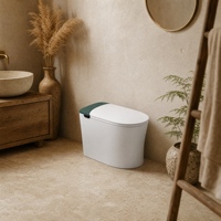 WC intelligent économique avec siège chauffant automatique et bidet intégré, cuvette de toilette monobloc en céramique pour nouvelle installation