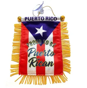 Piccolo Mini Boricua PR orgoglioso di essere portoricano appendere le bandiere delle auto del finestrino