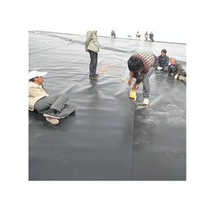 Revêtement de réservoir en HDPE, géomembrane en LDPE et HDPE, revêtement de bassin pour élevage de poissons, <span class=keywords><strong>membrane</strong></span> <span class=keywords><strong>géotextile</strong></span>, <span class=keywords><strong>prix</strong></span> - Product Image 4