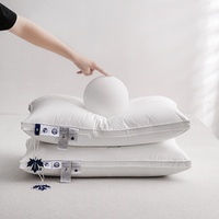 Oreiller en plumes de coton et d'oie blanc, qualité professionnelle, pour hôtels et usage domestique, tailles standard, queen et king, fourni par un fabricant en gros