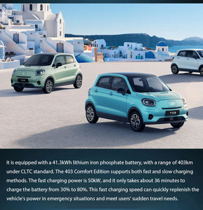 2025 Zero Run T03 Mini Coche Eléctrico EV Edición Confort 310 Vehículo de Nueva Energía de Alta Velocidad Batería de 55kW 31.9kWh 4 Asientos Izquierdos - Product Image 4