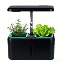 Pot de culture sans terre à arrosage automatique, boîte de culture hydroponique intelligente pour bureau