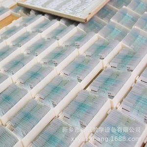 In stock: 50-slide boxed biological slides for <b>microscopes</b>. - Product Image 1