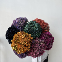 Bunga Hydrangea Kering Berkualitas Tinggi, Daun Besar, Warna Baby Pink, Ungu, Putih, Hijau, Biru Besar, Bunga Hydrangea Awet