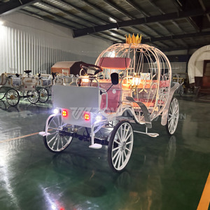 Carroza de Calabaza de Cenicienta de Cuento de Hadas, Carro de Metal de Cuatro Ruedas con Luz LED Personalizada para Boda, Desfile, Parque Temático, Fotografía - Product Image 6
