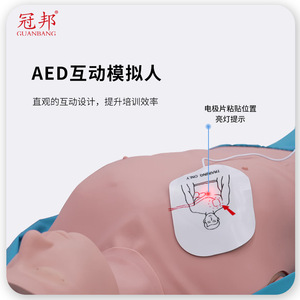 Simulateur de réanimation cardio-pulmonaire à écran tactile intelligent Guanbang, modèle d'enseignement médical sans fil à connexion intégrale du corps, robuste - Product Image 3