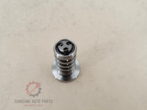 427001610 06H109257C Punteria Valvola di Qualità OE Certificata IATF 16949 per Audi A3 A4 B8 A6 C7 - Product Image 2