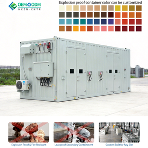 Gabinete para Cilindros de Gas de Alta Resistencia, Cadenas de Sujeción para Cilindros, Almohadillas de Goma, Supresor de Llama para Laboratorio, Hidrógeno, Propano, <span class=keywords><strong>Butano</strong></span>, ISO - Product Image 1