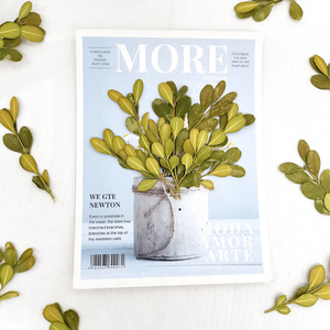 Hojas de <span class=keywords><strong>Buxus</strong></span> Secas y Prensadas Naturales para Resina, Joyería, Manualidades, Especímenes Botánicos, Follaje de Boj para Arte - Product Image 4