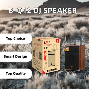 B-Q12 12 pollici professionale Trolley Wireless altoparlante USB BAAB Karaoke sistema DJ multifunzione per la casa all'aperto per feste Computer DC - Product Image 6