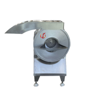 Qd Motor Essentiële Keuken Apparaat Fruit & Groentesnijder Machine Voor Chips & Apple Snijden Met Lager
