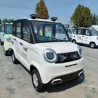 Voiture électrique mini à basse vitesse 1000W pour usage domestique, petite, 4 portes, autonomie 100-300km, pour personnes âgées, écologique, entièrement fermée, voitures électriques Li