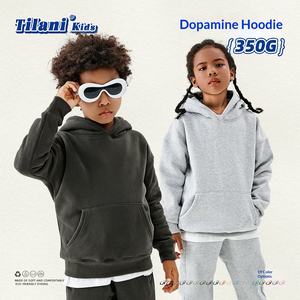 Marque de mode européenne américaine Maillard 350G Fleece à capuche uni pour garçons et filles pour l'automne et l'hiver - Product Image 4