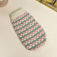 Pull chaud au cou, vêtements pour animaux de compagnie, manteau pour petits chiens, offre spéciale et Design personnalisé, vente en gros