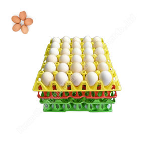 Plateau d'emballage de 30 œufs de poule Plateau en plastique pour œufs de poule Plateau pour œufs de poule 30 trous - Product Image 1