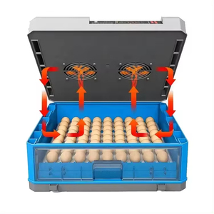 Incubatrice per Uova Automatica di Piccole Dimensioni a Rulli con Capacità di 500 Uova - Product Image 5