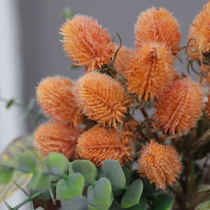 Usine En Gros <span class=keywords><strong>Chèvrefeuille</strong></span> Australien Banksia pour La Maison De Mariage Événement <span class=keywords><strong>D</strong></span>écoration Arrangement De Fleurs - Product Image 5