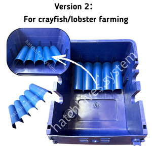 Nuôi trồng thủy sản dọc cua nuôi vỗ béo hộp RAS hệ thống nâng cao hiệu quả canh tác của sản xuất - Product Image 3