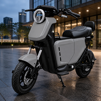 Moto électrique sans balais E-Moto OEM, moteur 1200W, 60V, roues de 14 pouces, tout-terrain, vitesse maximale 55 km/h, autonomie 140 km, personnalisation sur mesure