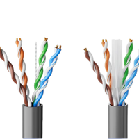 Cable de Red Gigabit Ethernet 5e, Estándar Nacional, Doble Blindaje, Caja Completa, Ingeniería Dedicada, Decoración del Hogar, Monitoreo de Red POE, Azul