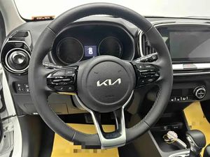 Veicoli Familiari a Benzina Usati 2021 Bianchi KX1 per Sportage Guida a Sinistra Cinque Porte Prodotti in Cina - Product Image 3