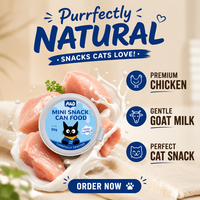 Usine de production de boîtes de nourriture humide pour chats, personnalisées OEM/ODM, aromatisées au poulet, au bœuf, au saumon et au thon, riches en protéines, naturelles et en conserve