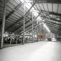 Usine chinoise OEM ODM, structure en acier préfabriquée, atelier d'entreposage agricole, bâtiment métallique, entrepôt, isolation thermique