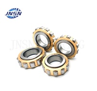 Bantalan Roller Silinder Kebisingan Rendah Presisi Tinggi, RN309M RN310 RN311 RN312 RN313 RN314 RN315 RN316 RN317 RN318 RN319 RN320