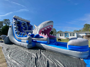 20ft Chiều cao ngoài trời đôi Slide Inflatable cá mập trượt cho người lớn và trẻ em cho thuê trong công viên - Product Image 2