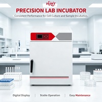 Incubateur électrique à convection naturelle pour la recherche scientifique, facile à utiliser, à température contrôlée, précis et stable