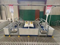 Caisses de truie de mise bas à double corps de style européen galvanisées à chaud pour les Offre Spéciale d'élevage porcin